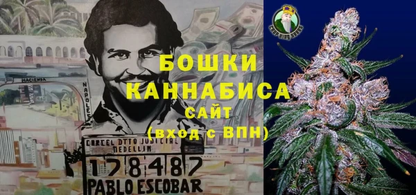 первитин Няндома