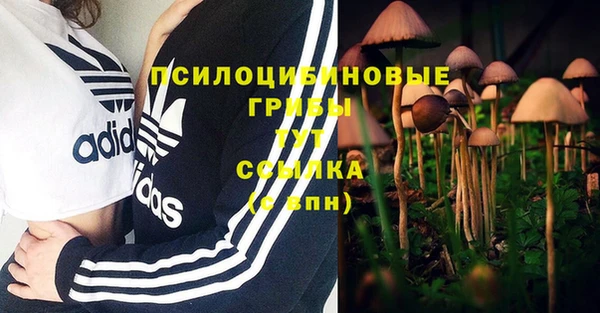 первитин Няндома