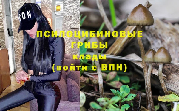 первитин Няндома