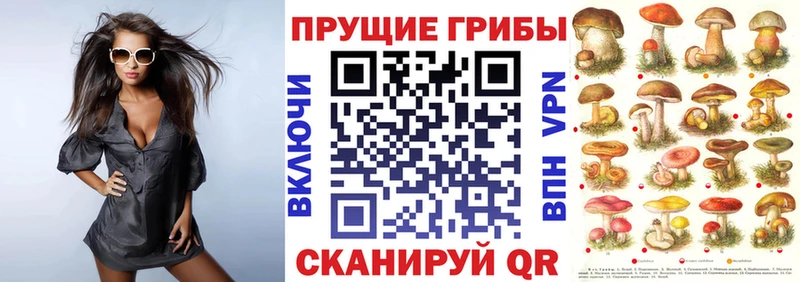 Галлюциногенные грибы GOLDEN TEACHER  Берёзовка 