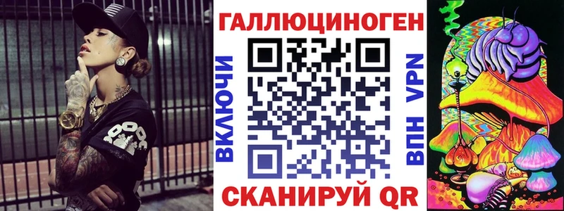 Псилоцибиновые грибы Psilocybe Берёзовка