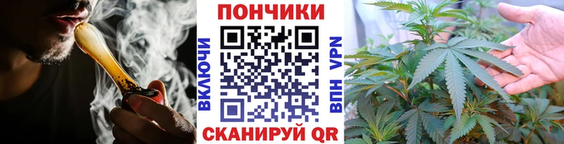 Шишки марихуана гибрид  Берёзовка 